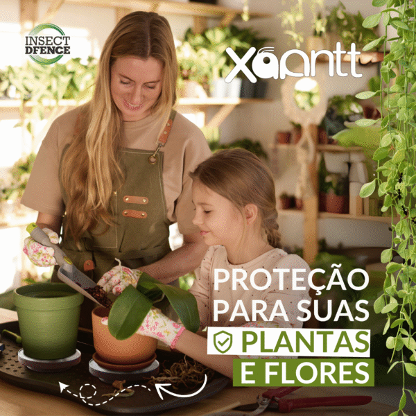 Xoantt - Imagem 4