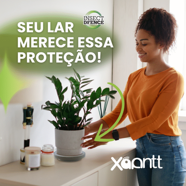 Xoantt - Imagem 10