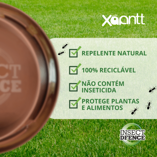 Xoantt - Imagem 9