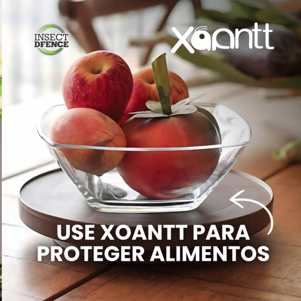 Xoantt - Imagem 8