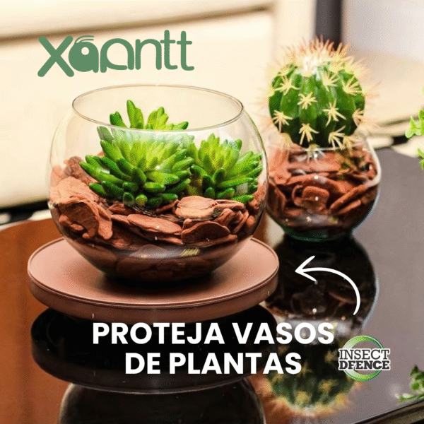 Xoantt - Imagem 7