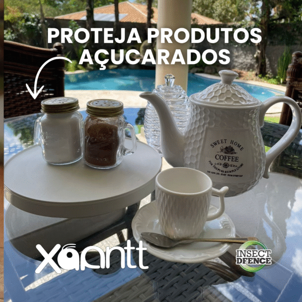 Xoantt - Imagem 6